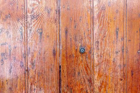 The Wood texture Stock Photos