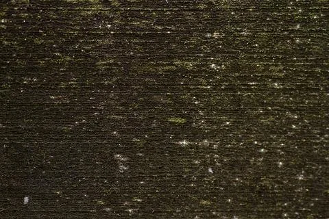 Wood texture Stock Photos