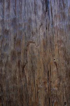 Wood texture Stock Photos