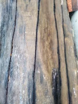 Wood texture Stock Photos