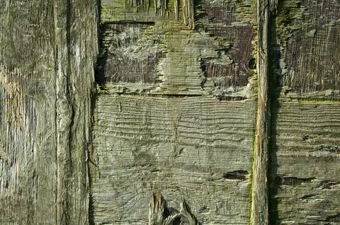 Wood texture Stock Photos
