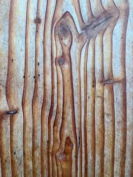 Wood texture Stock Photos