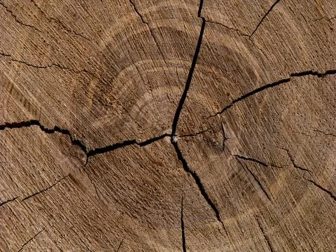 Wood Texture Stock Photos