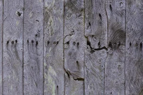 Wood texture Stock Photos