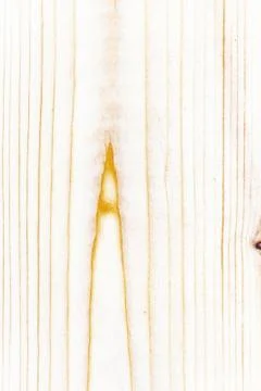 Wood texture pine 写真素材