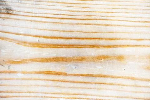 Wood texture pine 스톡 사진