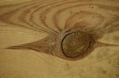 Wood texture with rings in section Stock Photos