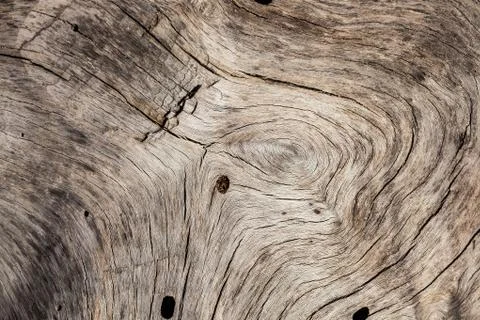 Wood texture rustic plank worn Stock Photos