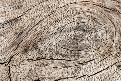 Wood texture rustic plank worn Stock Photos