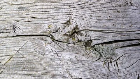 Wood texture shows detailed patterns and lines creating a natural design on a Stock Photos