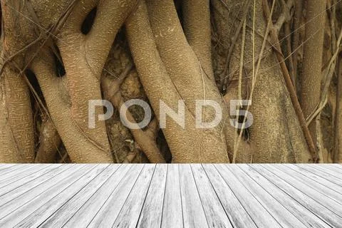 Wood texture surface with Wood terrace Stock Photos