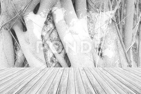 Wood texture surface with Wood terrace and world map Stock Photos