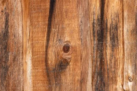 Wood texture. Tree close-up texture background Stock Photos