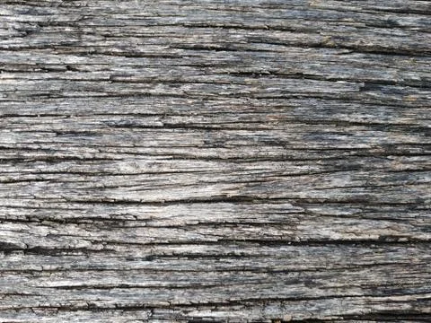 Wood texture from tree Stock Photos
