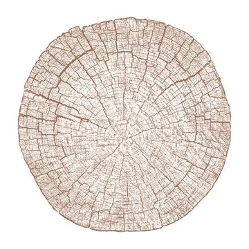 Wood Texture Tree Ring Cross Section Vector Illustration Circle Pattern Nat.. Stock Illustration