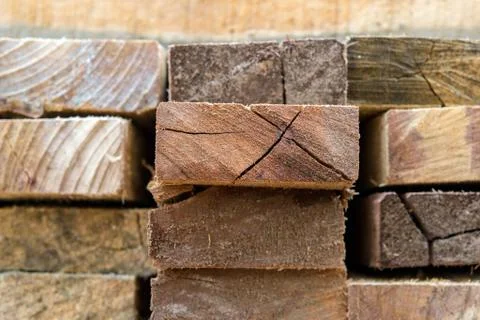 Wood texture (trees from forest) Stock Photos