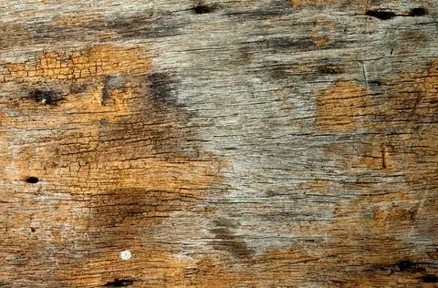 Wood texture with unique pattern closeup background Stock Photos