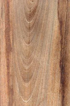 Wood texture with unique pattern closeup background Foto stock