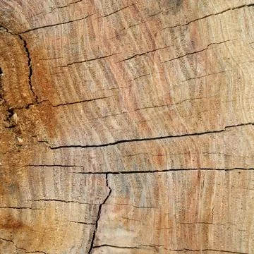 Wood texture, vector Eps10 illustration. Natural Wooden Background. Stock Illustration