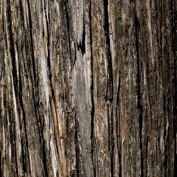 Wood texture, vector Eps10 illustration. Natural Wooden Background. Stock Illustration
