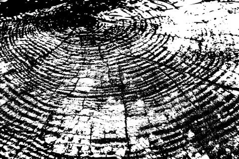 Wood texture vector pattern Illustrazione stock