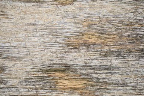 Wood  texture vintage pattern background Stock Photos