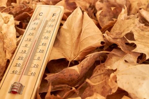 Wood thermometer in a background of fallen leafs Stock Photos