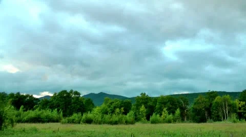 Wood before the thunder-storm beginning, many stinging blood-sicking insects Stock Footage 10685993