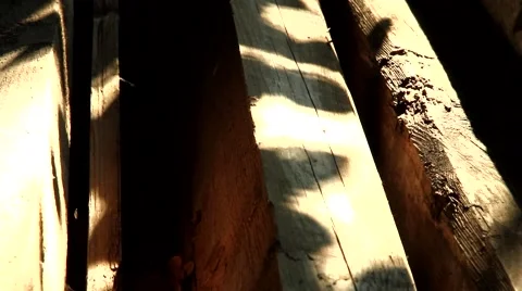 Wood Tracking Shot Stock Footage 43011622