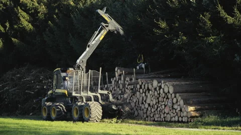 Wood transporter loading tree trunks Stock Footage 201600328
