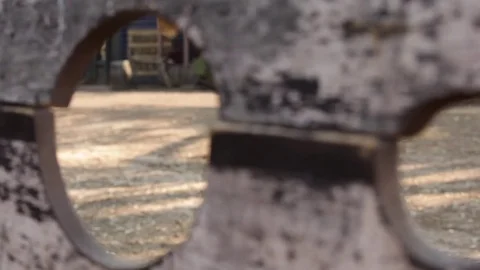 A wood with trees on background Stock Footage 85197172