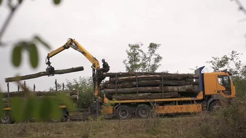 Wood Truck Logging Operator Using Hydraulic Forks to Load Log   Stock Footage 127825094