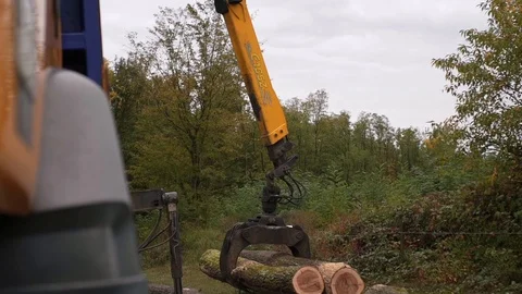 Wood Truck Logging Operator Using Hydraulic Forks to Load Log   動画素材 127825313