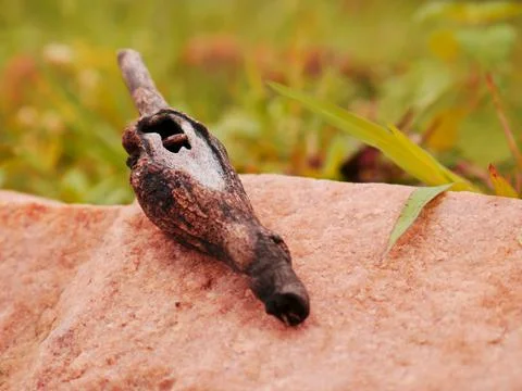 Wood trunk presented on stone surface around grass field. 스톡 사진
