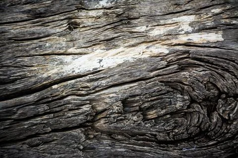 Wood wall backdrop for background Stock Photos