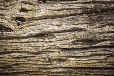Wood wall backdrop for background Stock Photos