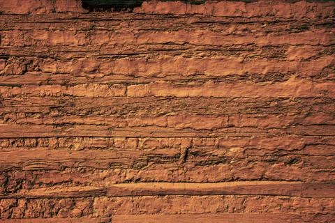 Wood wall background Stock Photos