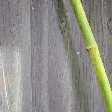 Wood wall Stock Photos