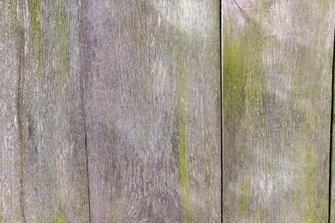 Wood wall texture for background usage Stock Photos