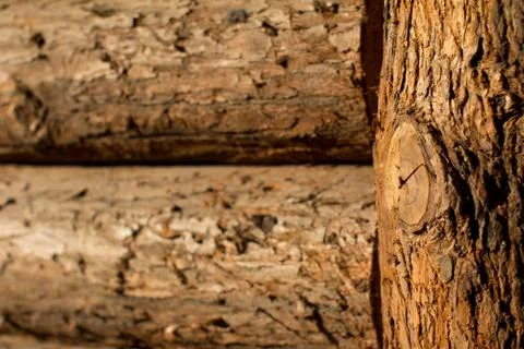 Wood wall texture Stock Photos