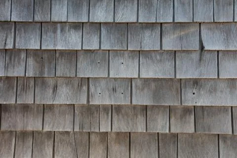 Wood wall, texture Stock Photos