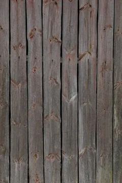 Wood wall texture. Fotos Stock
