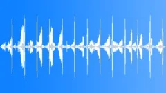 Wood Warbler SingingSound Effect