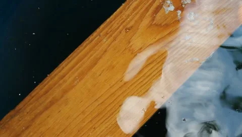Wood in water Video stock 11205979
