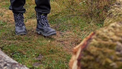 Wood Worker Forester Cutting Huge Tall Log with Chainsaw By Hand Slow Motion Stock Footage 128491167