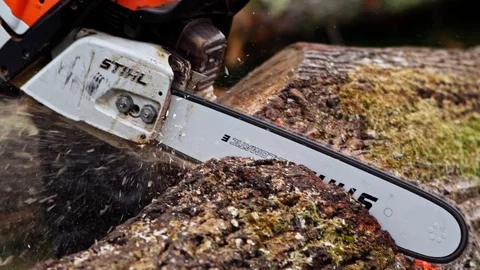 Wood Worker Forester Cutting Huge Tall Log with Chainsaw By Hand Slow Motion 動画素材 128491388