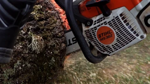 Wood Worker Forester Cutting Huge Tall Log with Chainsaw By Hand Slow Motion Stock Footage 128491449