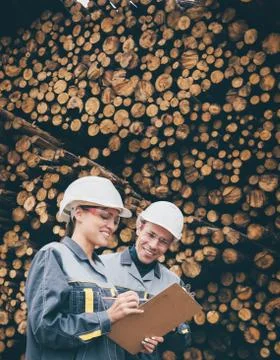 Wood worker storage Stock Photos