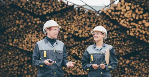 Wood worker storage Stock Photos
