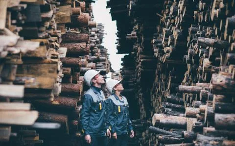 Wood worker storage Stock Photos